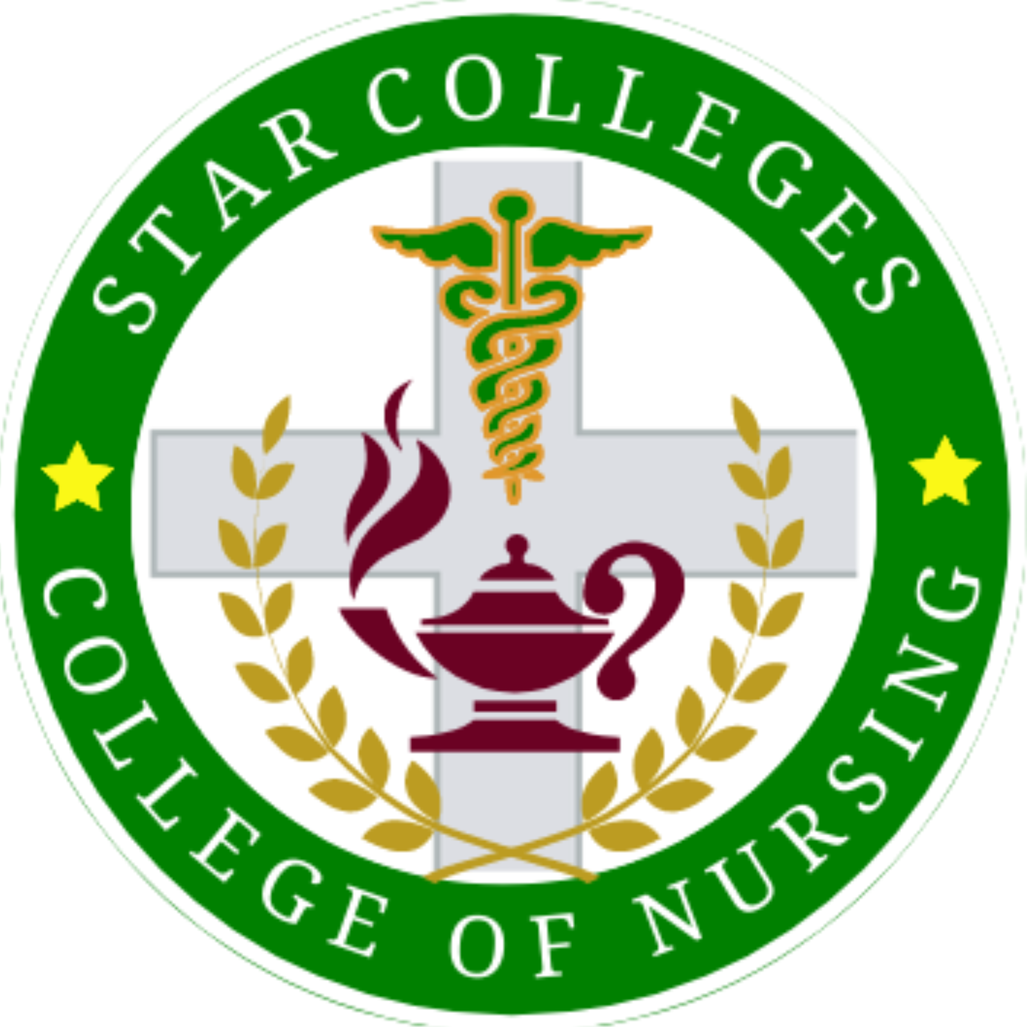 Star colleges digital library college of nursing journals